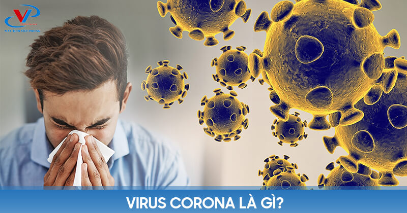 Virus Corona là gì?
